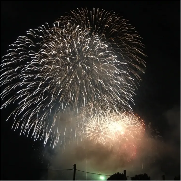 今年初❤︎花火大会に行ってきた〜ヽ(。>▽<。)ノ♡♡迷った時の花火コーデも!♡_3