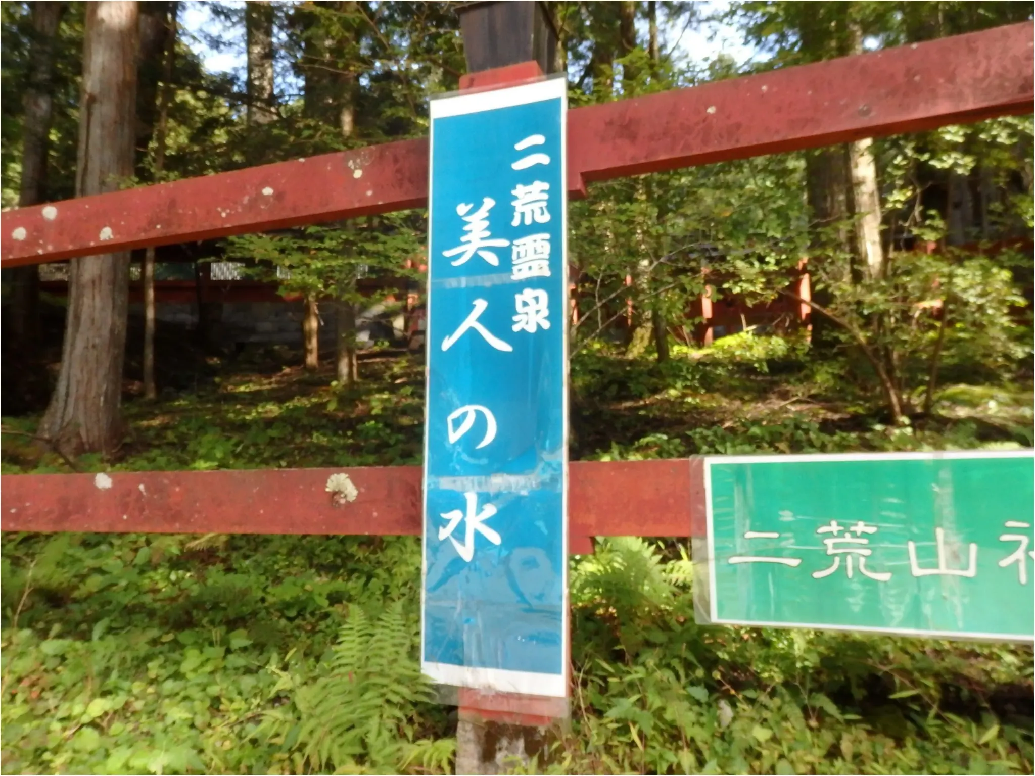 【知らなかった!】日本一楽しめる神社へ潜入してみた_20