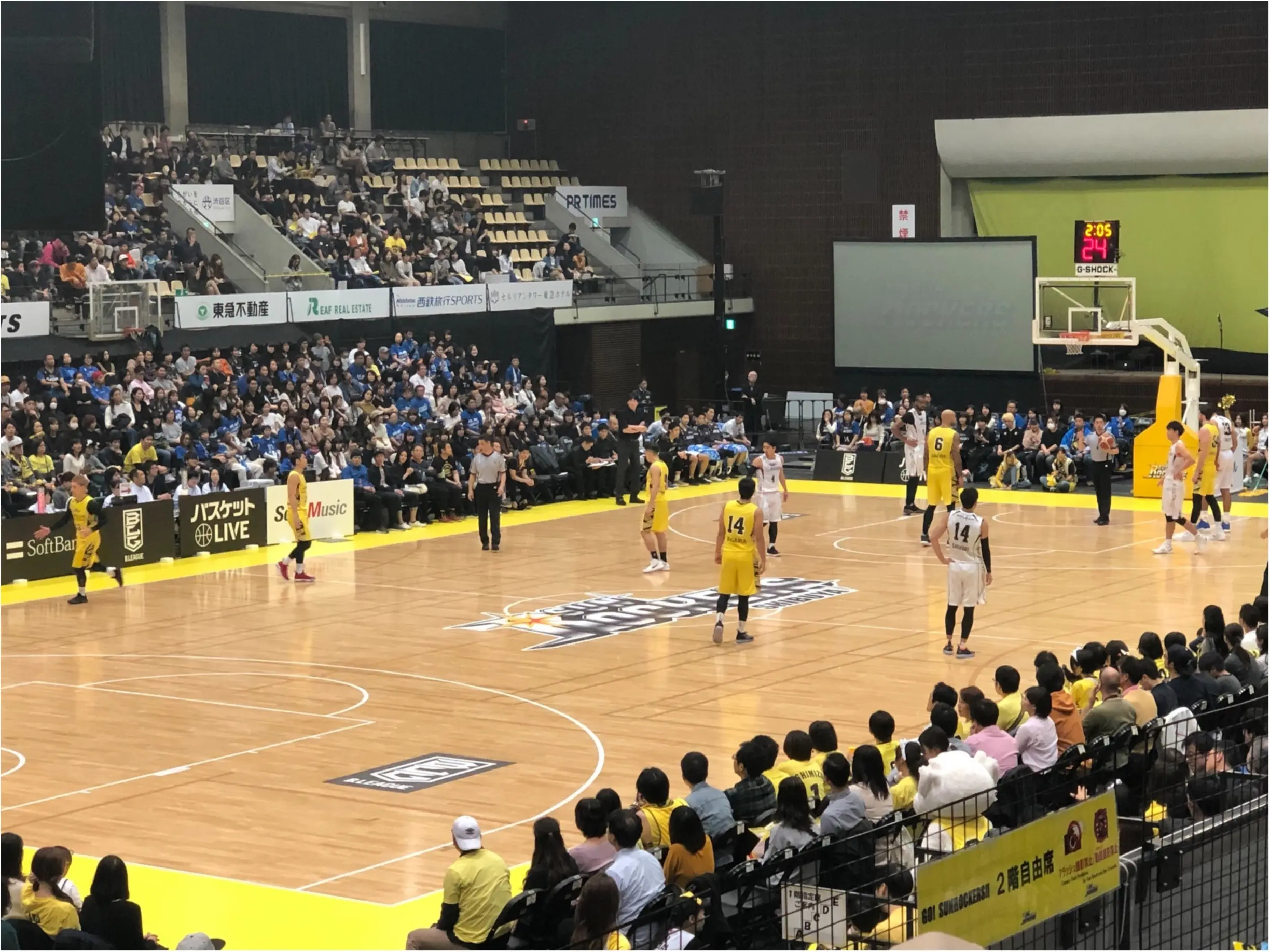 Bリーグ バスケ バスケットボール サンロッカーズ渋谷