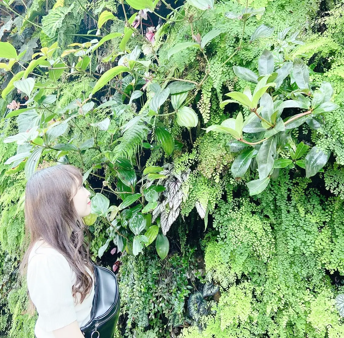 【自己紹介】MOREインフルエンサーになりました、りおです!_1