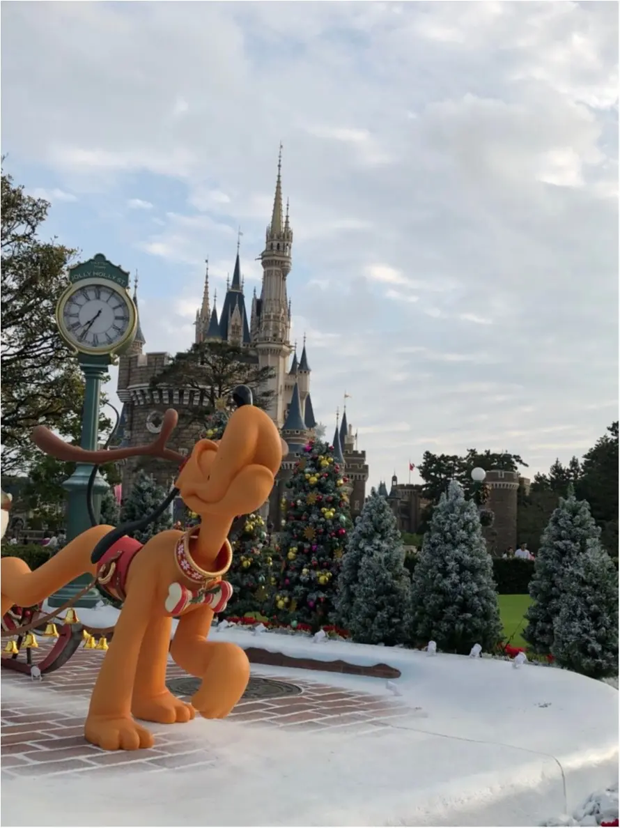 TDL35周年!【ディズニー・クリスマス】行ってきました♡_7