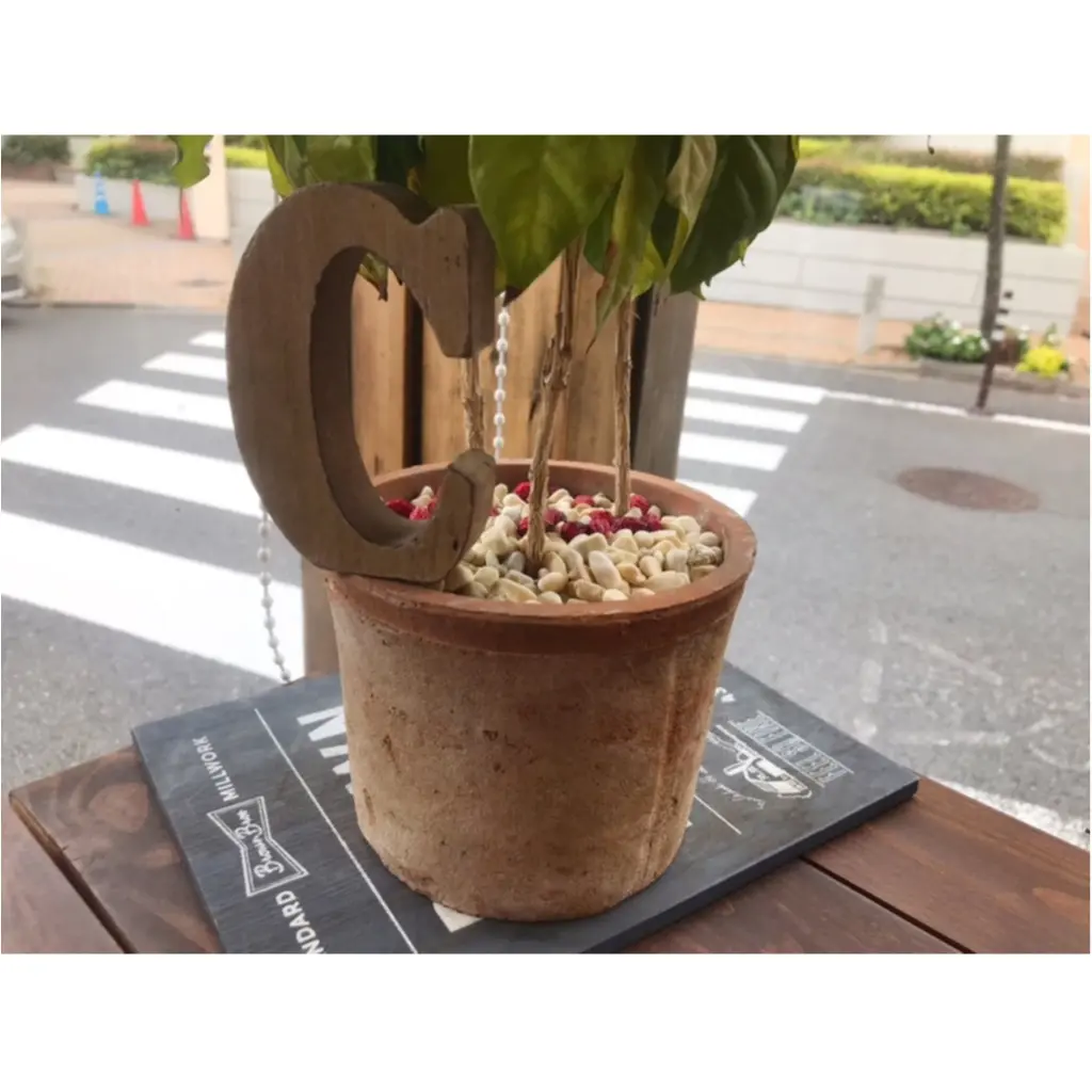 【一軒家カフェ】"もう1つの我が家にしたい"を叶える素敵カフェ!WiFiもテラス席もコンセントも!_3