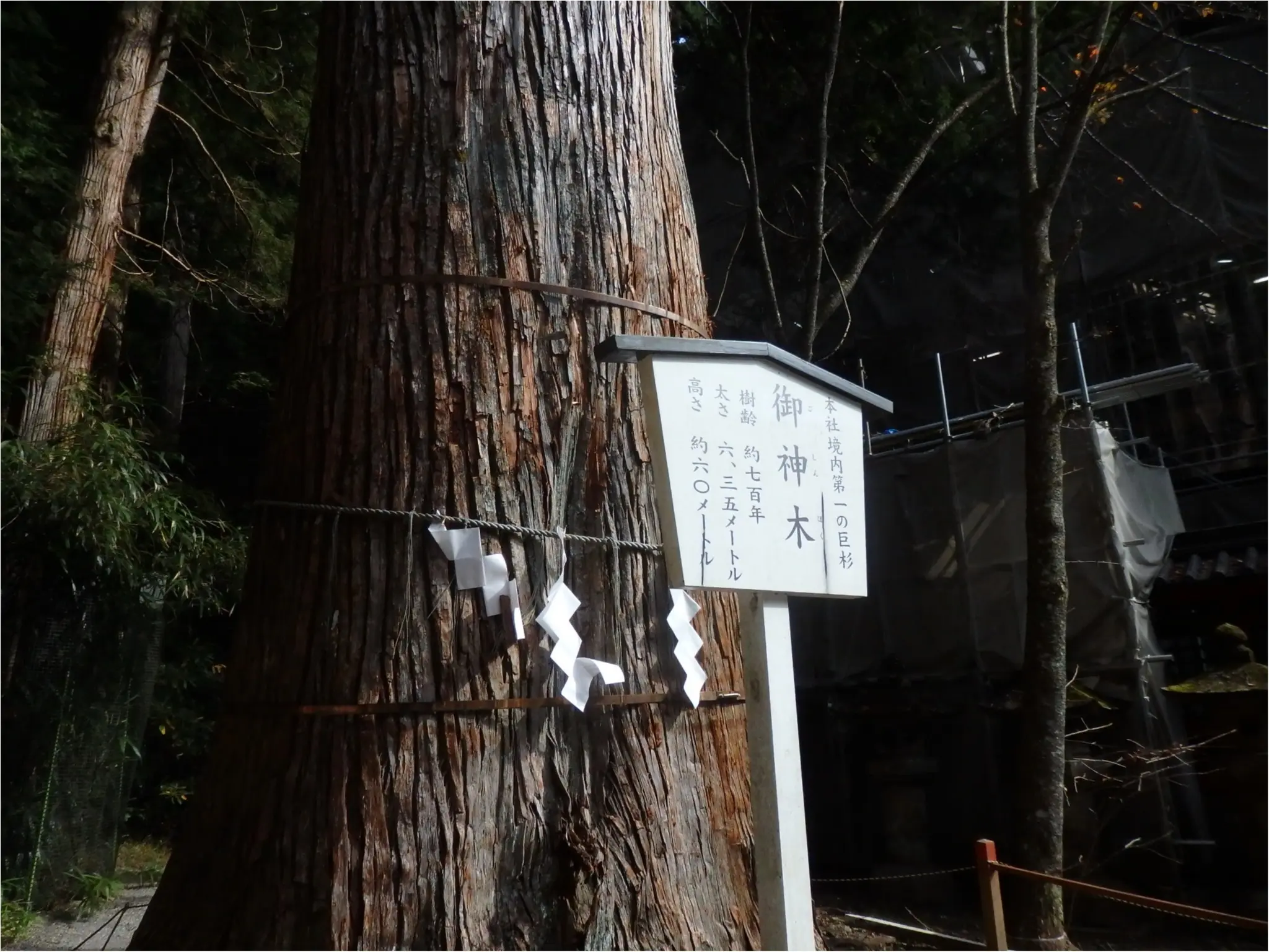 【知らなかった!】日本一楽しめる神社へ潜入してみた_27