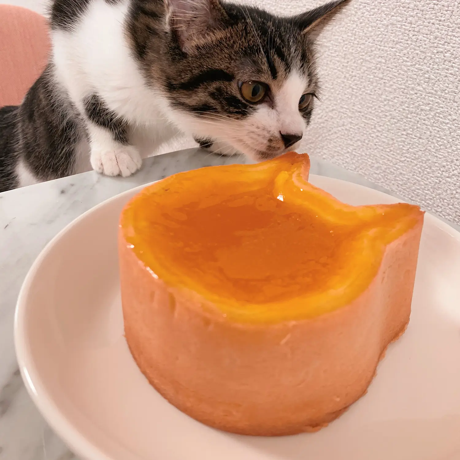 デパ地下で発見した♡NEKO NEKO CHEESECAKE♡が可愛すぎる!_4