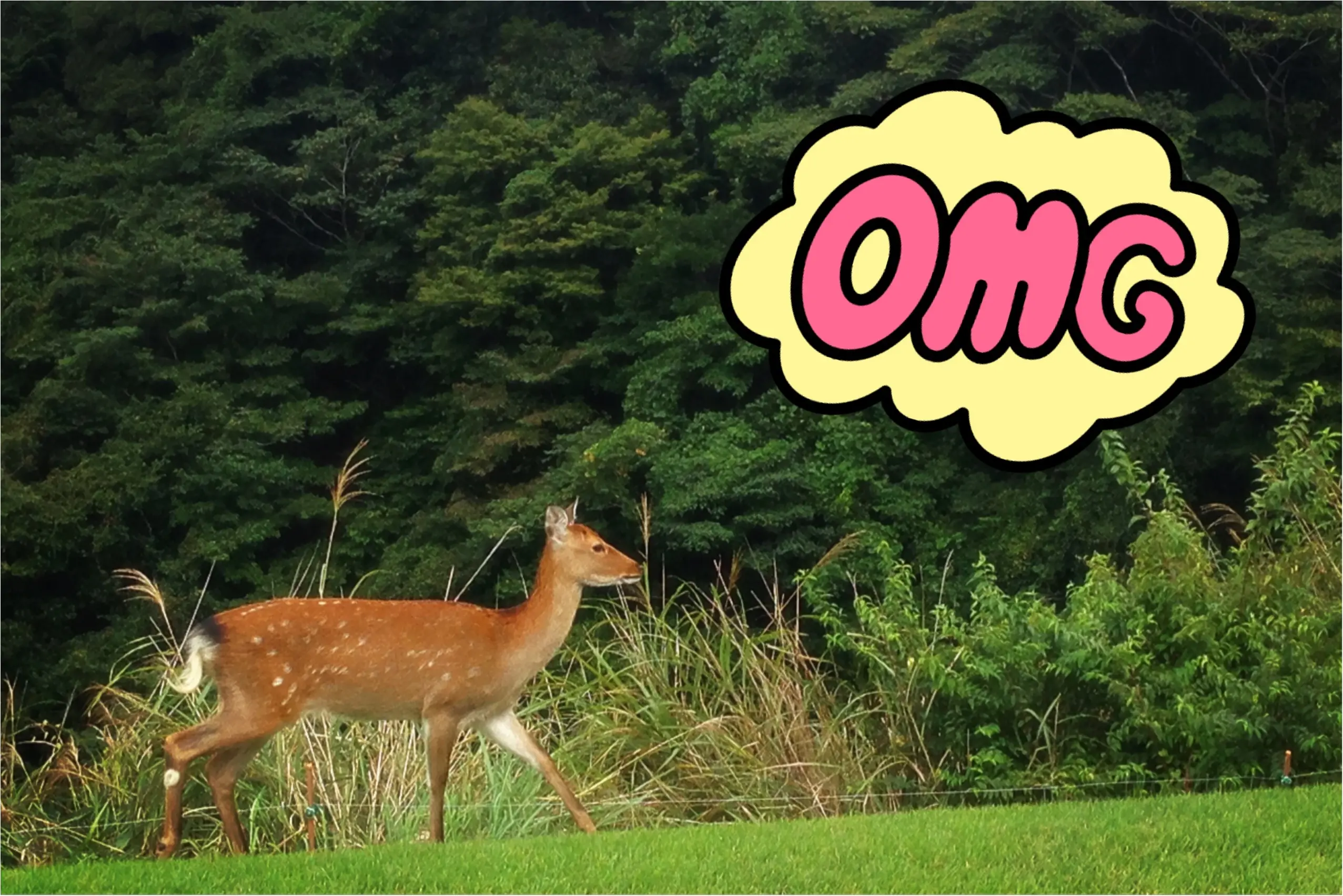 【GOLF】ゴルフでファッションを楽しむ♡秋晴れの中ラウンドしてきました!_6