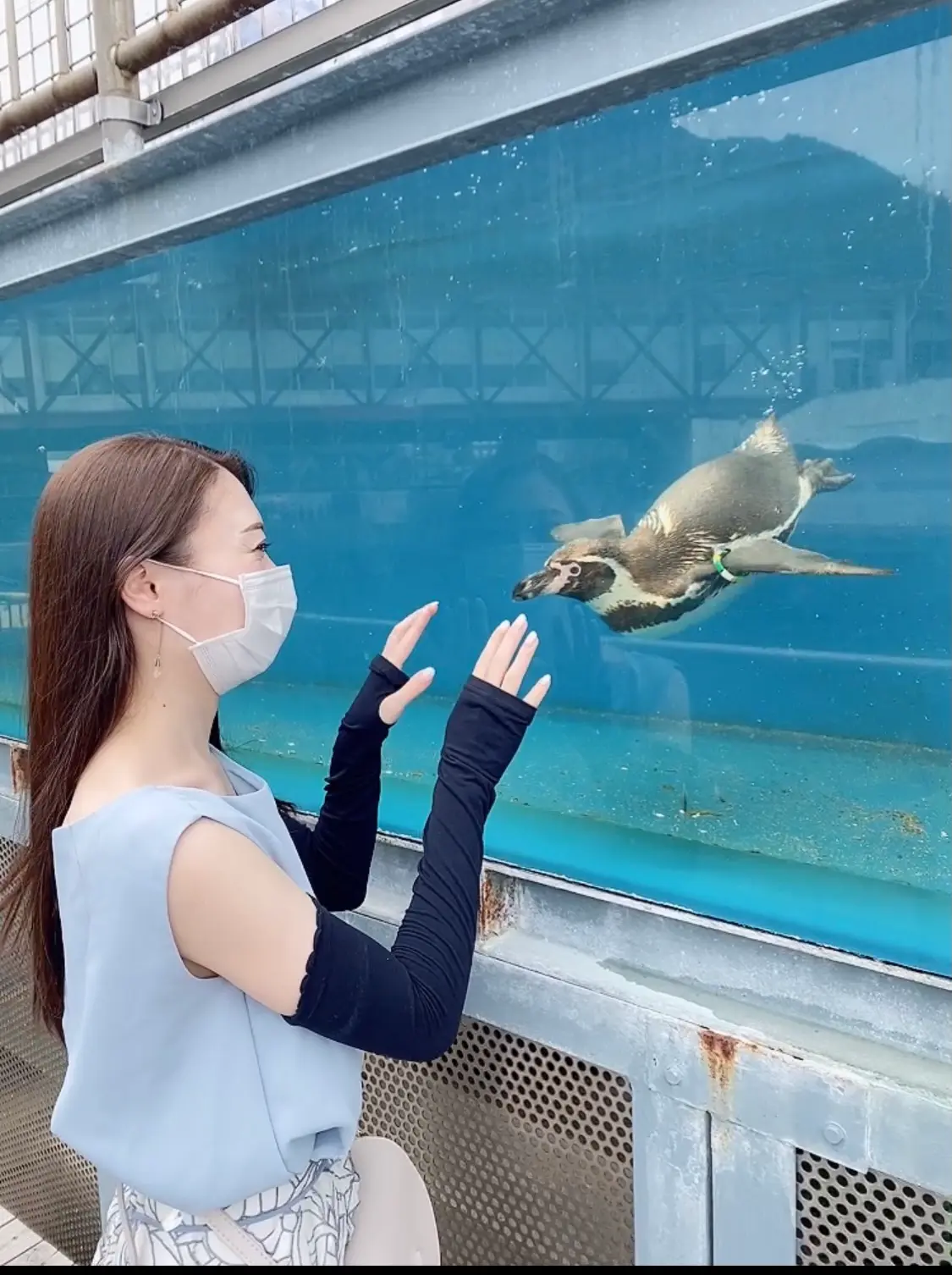 【静岡沼津市】に来たら行ってみて!《伊豆・三津シーパラダイス》は大人も楽しめる水族館☆_7