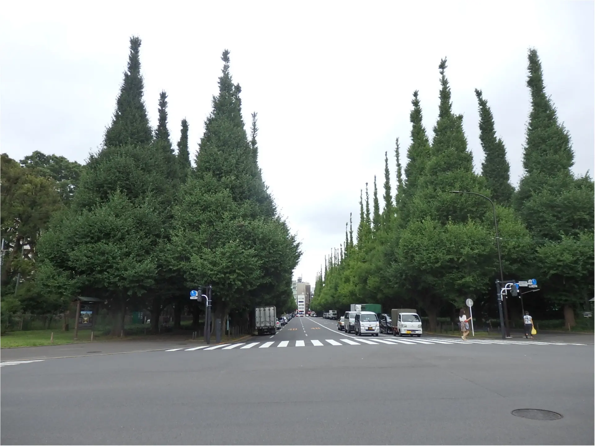 東京が小さく感じられる!ロードバイクならすいすい♪練習のお楽しみは築地で海鮮♥ #ツール・ド・東北【#モアチャレ あかね】_7