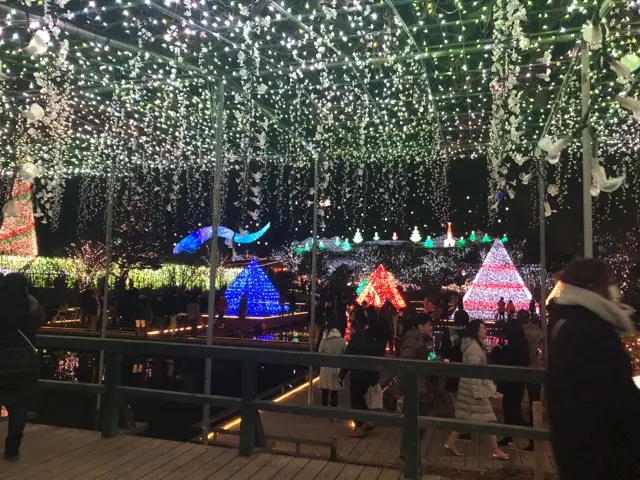 日本三大イルミネーション♪ あしかがフラワーパークに行ってきた♡_4