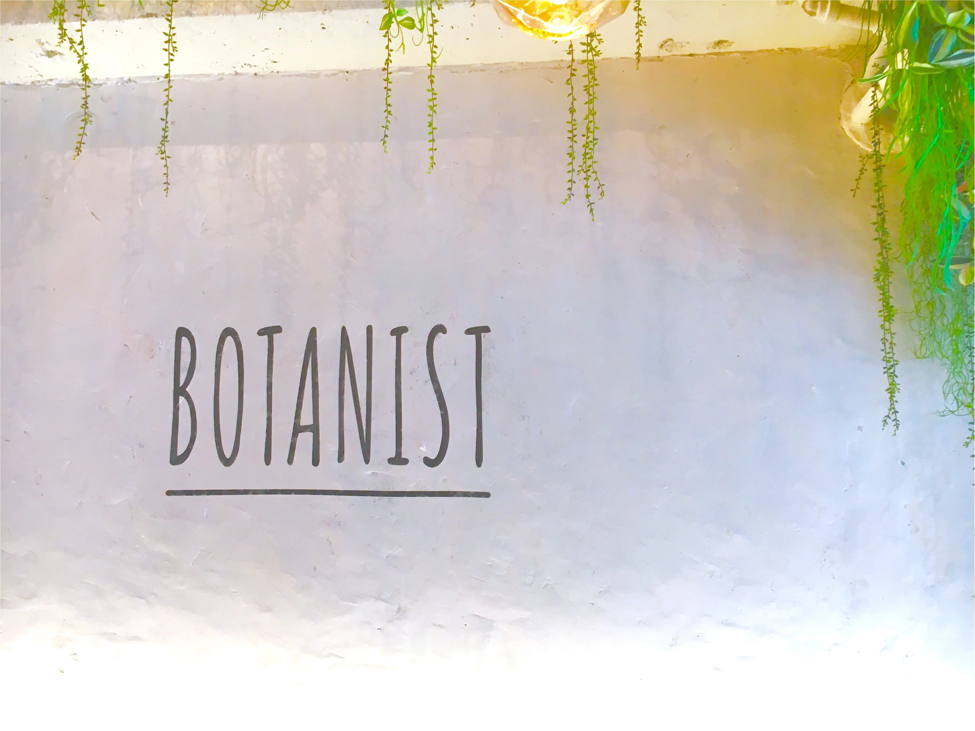 ついに明日オープン!初のフラッグシップショップ【BOTANIST Tokyo】を一足お先にチェックしてきました❤️_2