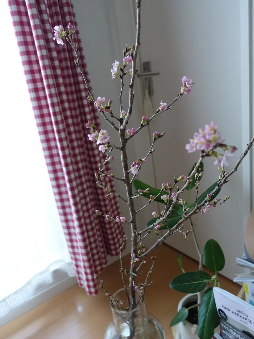 《花のある生活》一足お先に、お花見はいかが??自宅で出来るお花見はなんとワンコインで!_2