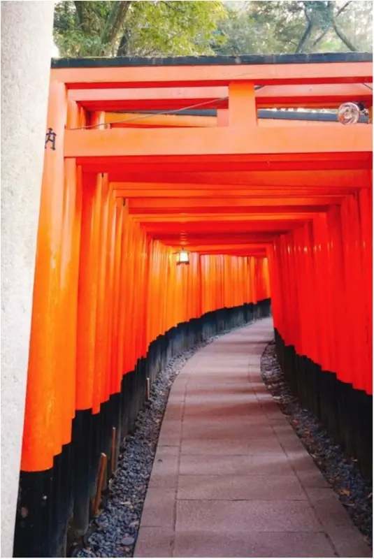 初詣人気ランキングでNO.1‼︎全国で3万社を超える稲荷神社の総本宮で今年の初詣♪_2