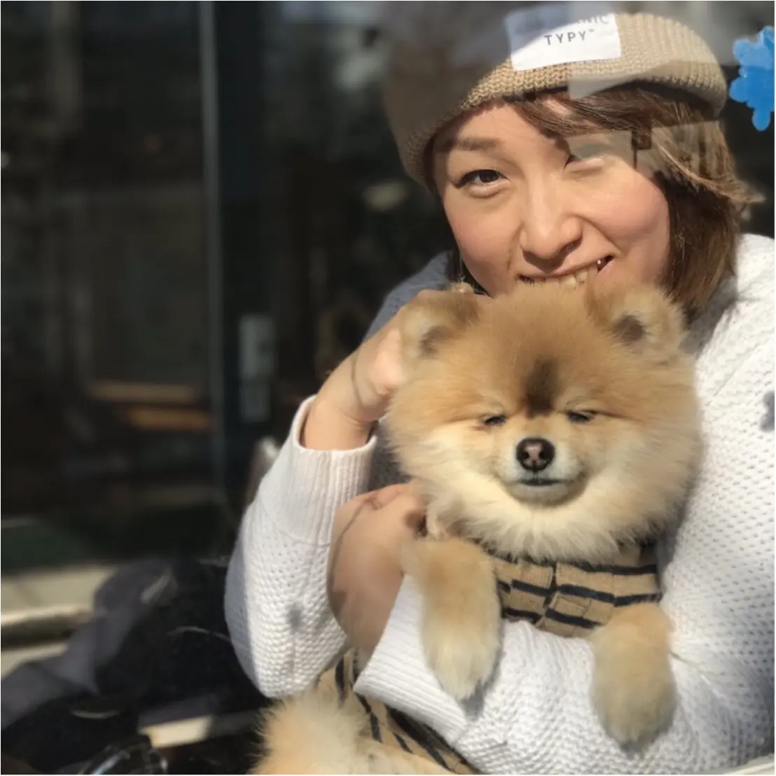 癒されたい時は…もふもふ♡うちのわんこ見てくださいな♡_3