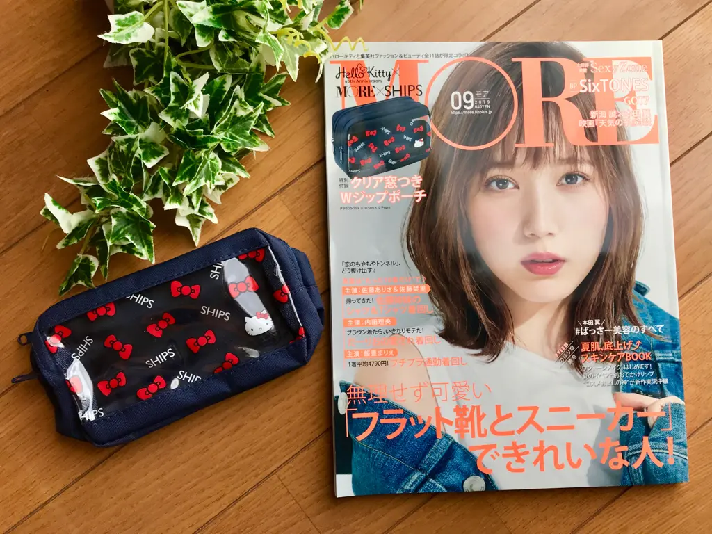 【MORE9月号】今月買うべき神付録!《SHIPS × Hello Kitty》クリア窓つきWジップポーチが可愛すぎ♡_1