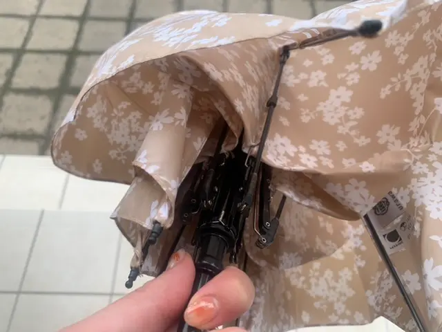 こんなの探してた♡超軽量&3秒でたためる今夏おすすめの折りたたみ傘_3