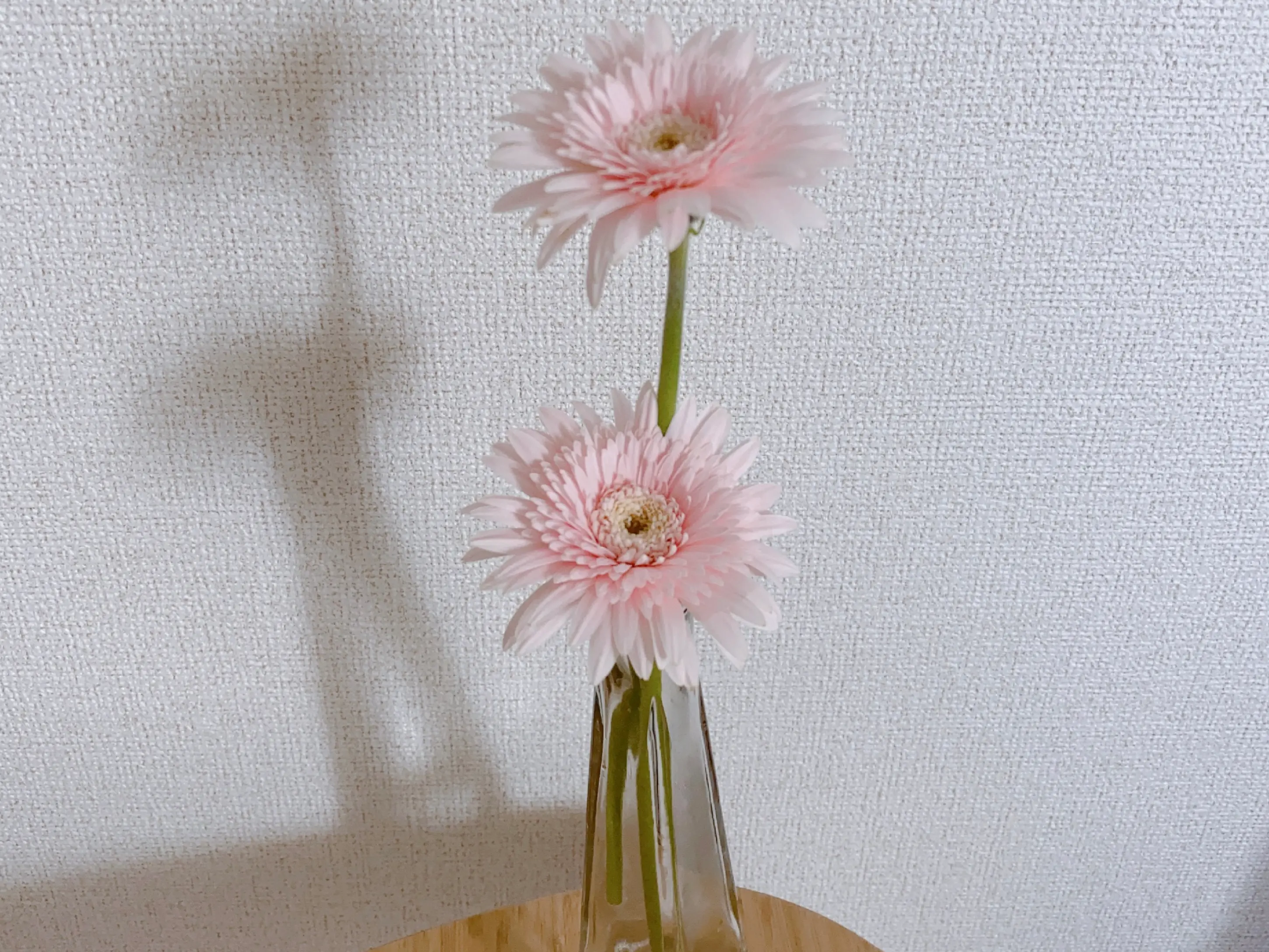 《おうち時間》花と手作りお菓子でのんびり過ごす週末♡_1