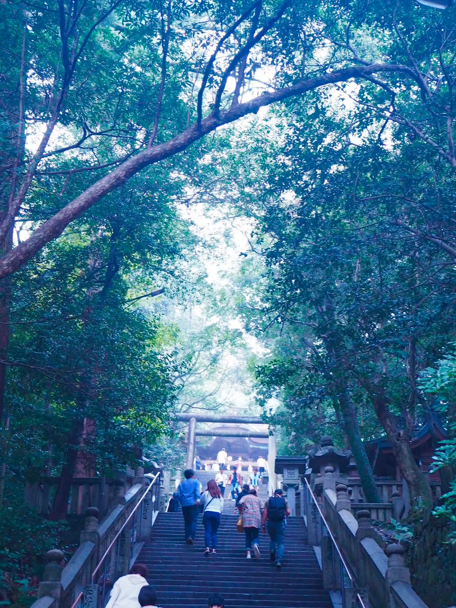 女子旅におすすめ 香川県 高松 小豆島 直島 ２泊３日の瀬戸内旅 Moreインフルエンサーズブログ Daily More