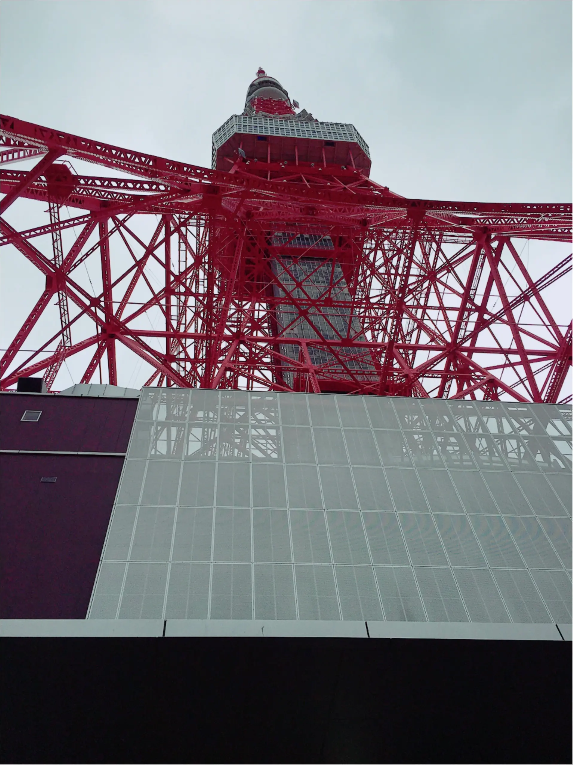祝1周年のワンピースタワーに行ってほしい!!!(懇願)byじゅな_3
