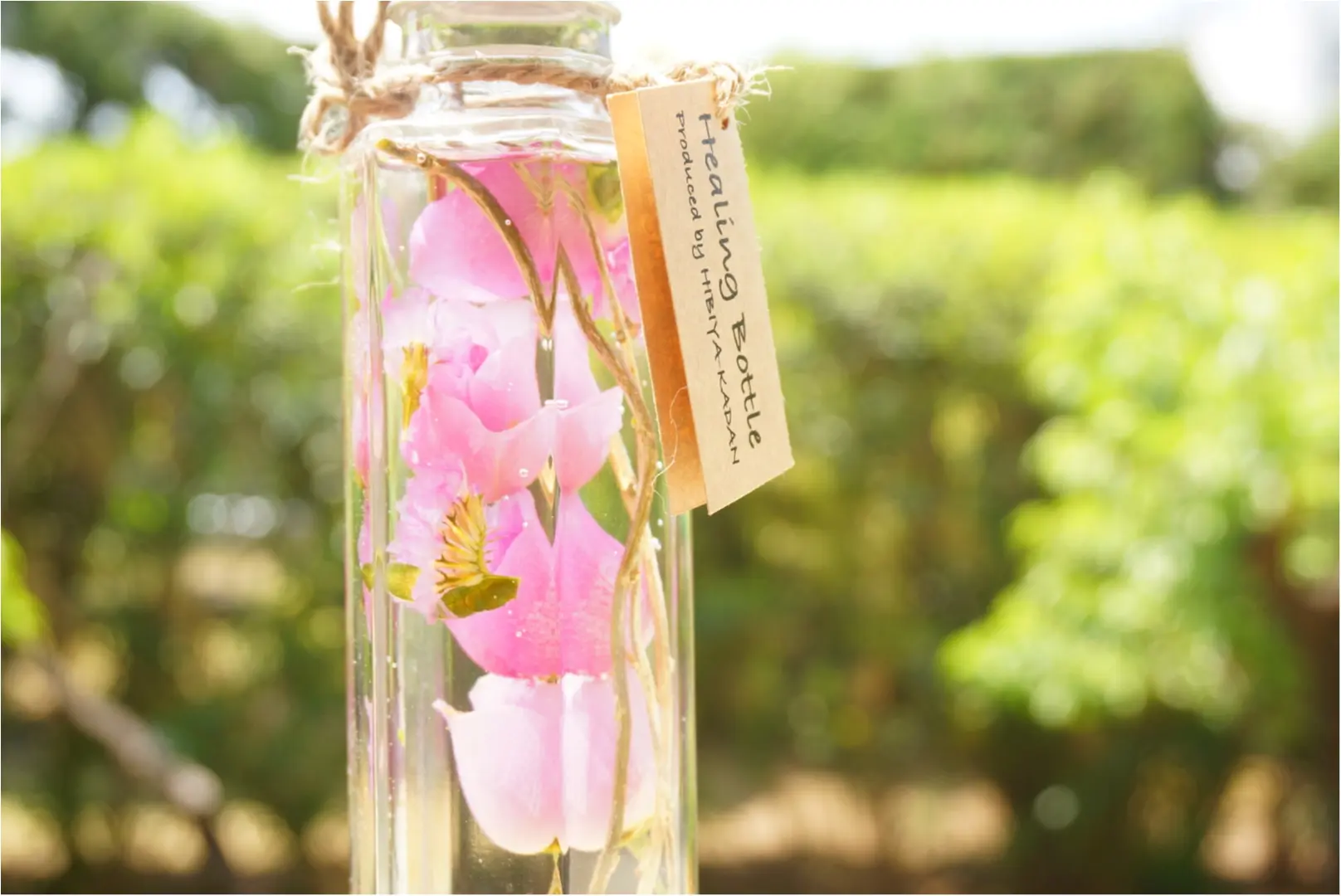 もうすぐ『母の日』‼︎ 日頃の感謝を込めて"お花"を贈ろう♪_3