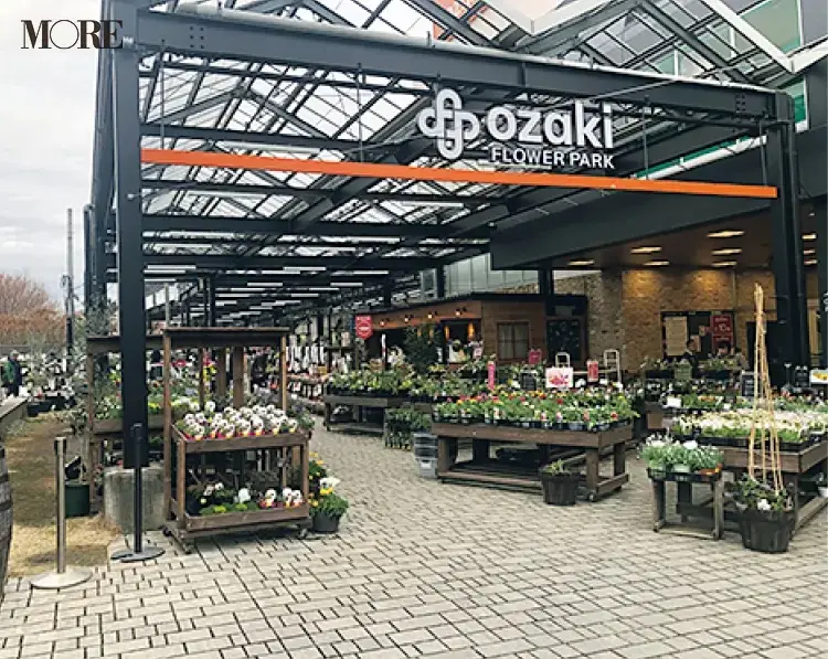 おすすめ植物店のオザキフラワーパーク