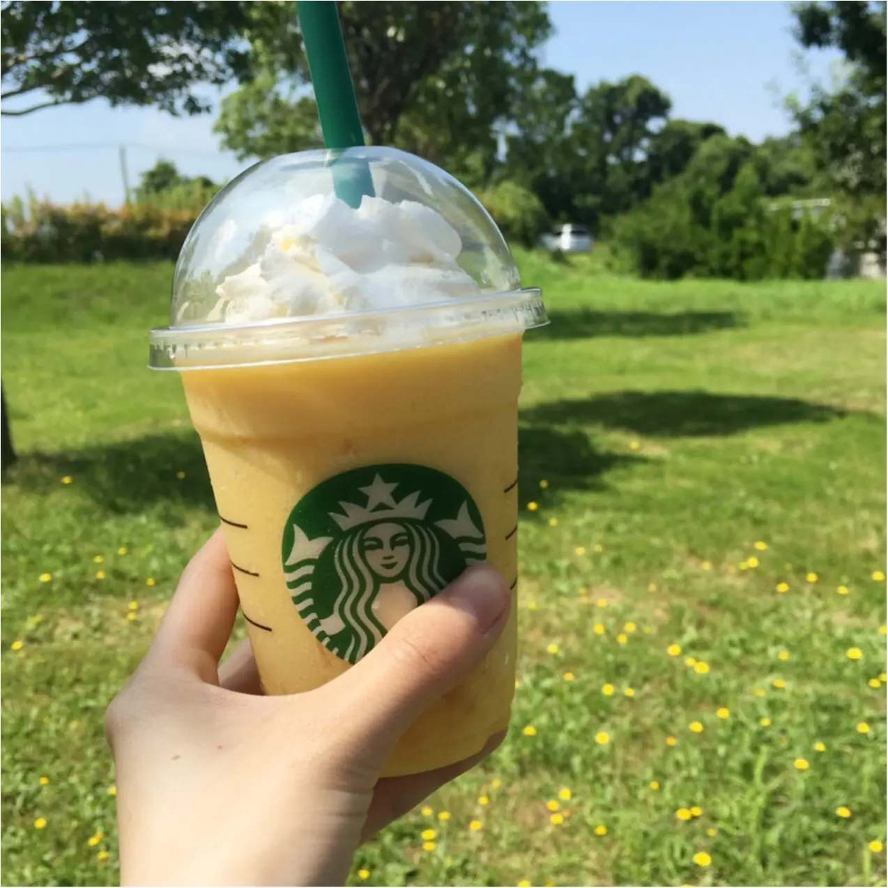 【スタバ新作】暑い夏に飲みたい!果肉たっぷり♡クラッシュオレンジフラペチーノ♡_1