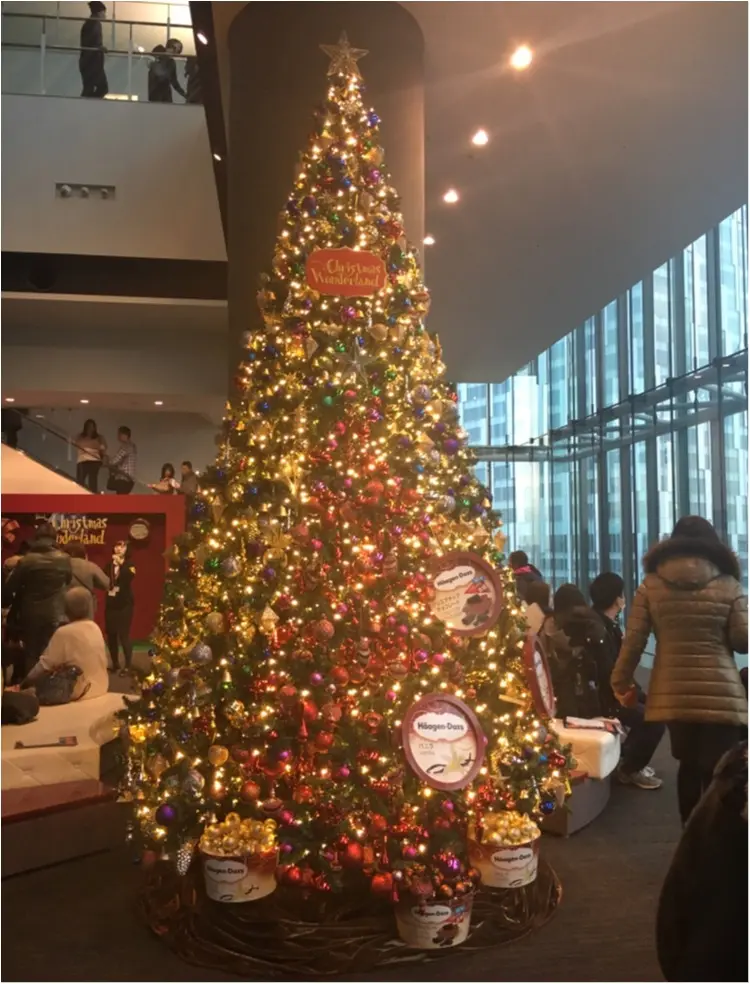 【クリスマスまであと1日!】クリスマスツリーでカウントダウン☆ クリスマスの新定番!話題のクリスマスショー 『クリスマスワンダーランド』のツリー♡_1