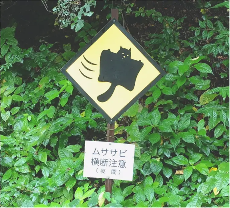 軽井沢女子旅特集 - 日帰り旅行も! 自然を満喫できるモデルコースやおすすめグルメ、人気の星野リゾートまとめ_77