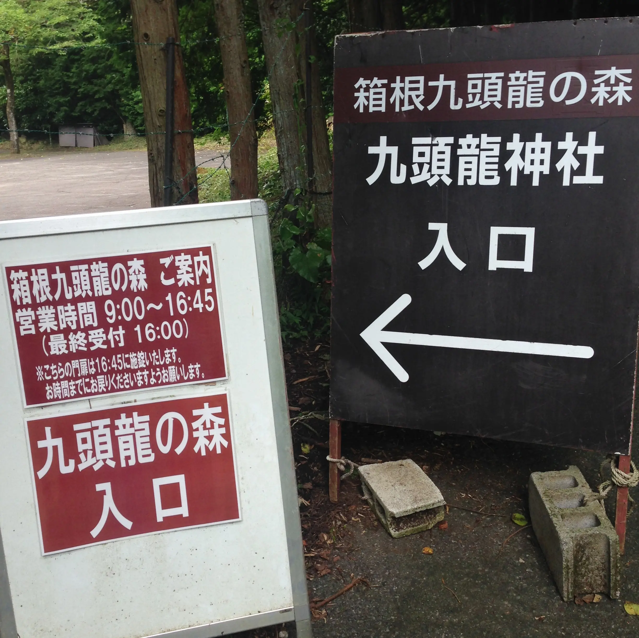いざ、参らん!箱根のパワースポット。縁結びの神&富士山の美味しい湧き水もタダで❤️_6