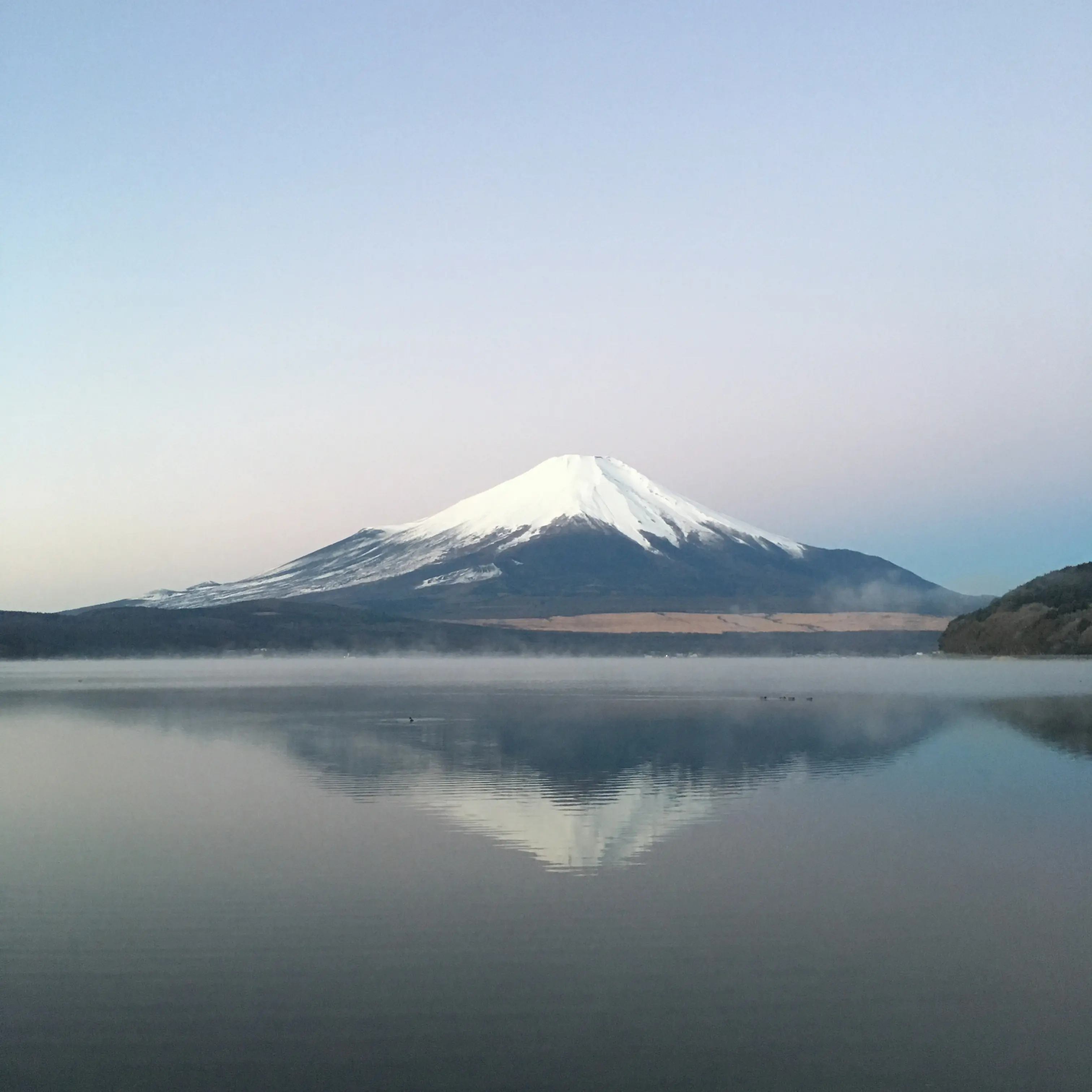 ことしもよろしくお願いします( ^ω^ )_1