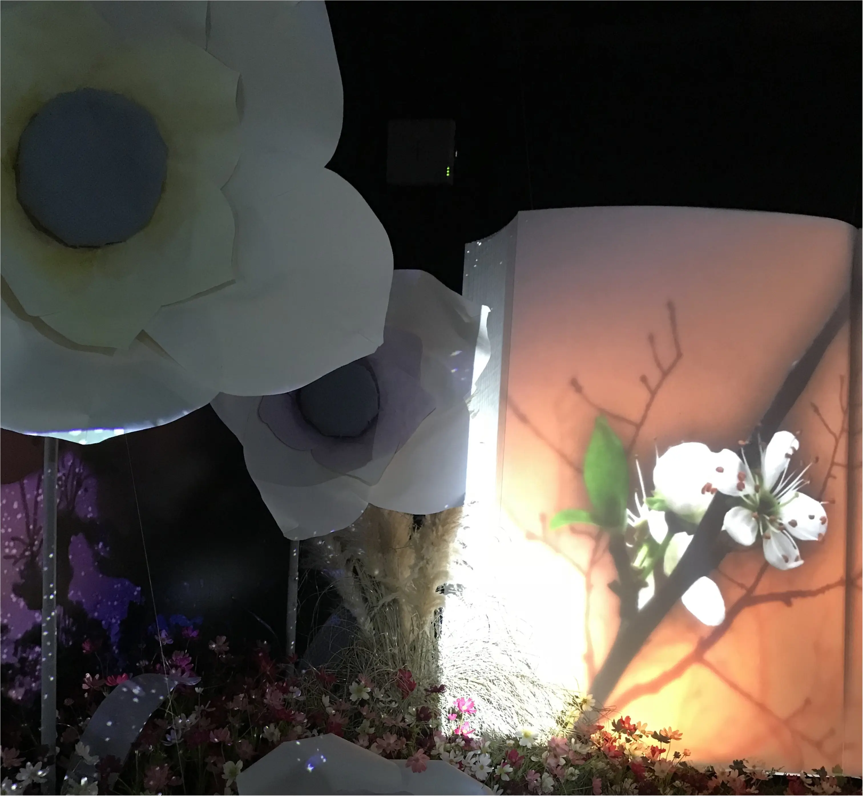 【Flower by NAKED】生花と映像のコラボ♡ フォトジェニックな秋に咲く桜を見てきました♡_2