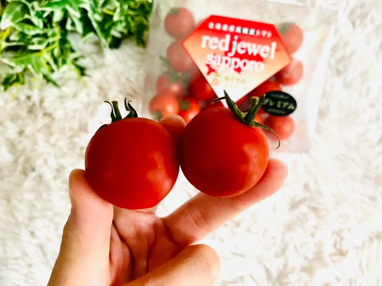 まとめ買い】 TOMATOさん専用 kids-nurie.com