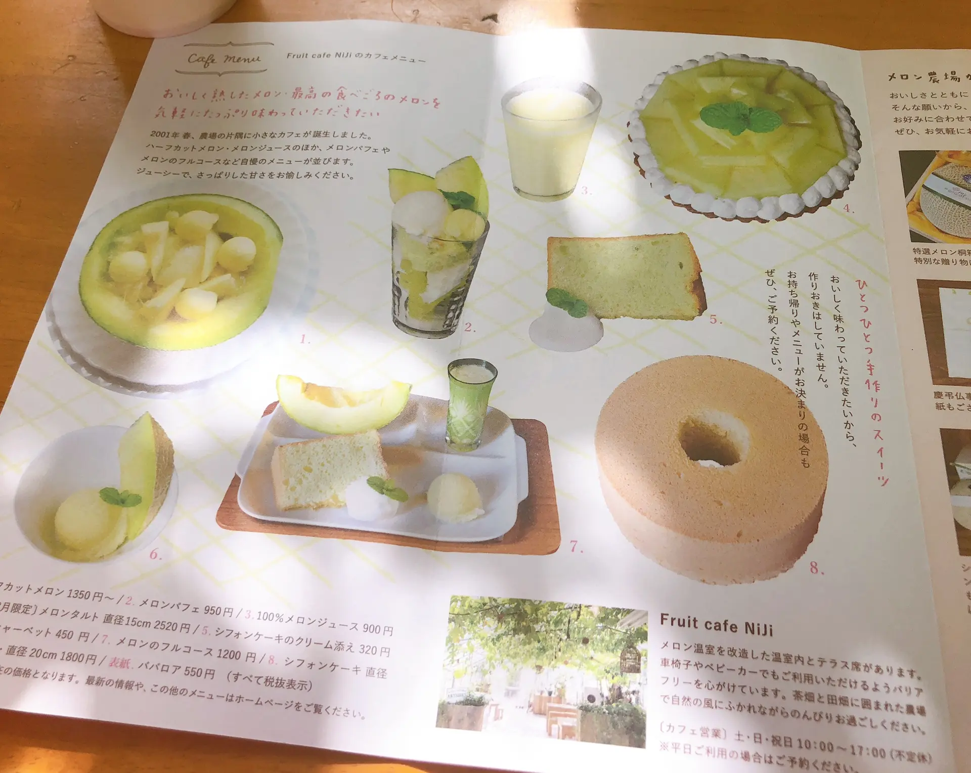 【#静岡】メロン農園直営❁緑に包まれたガーデンのようなカフェが魅力!甘〜いメロンをいただきました♩_10