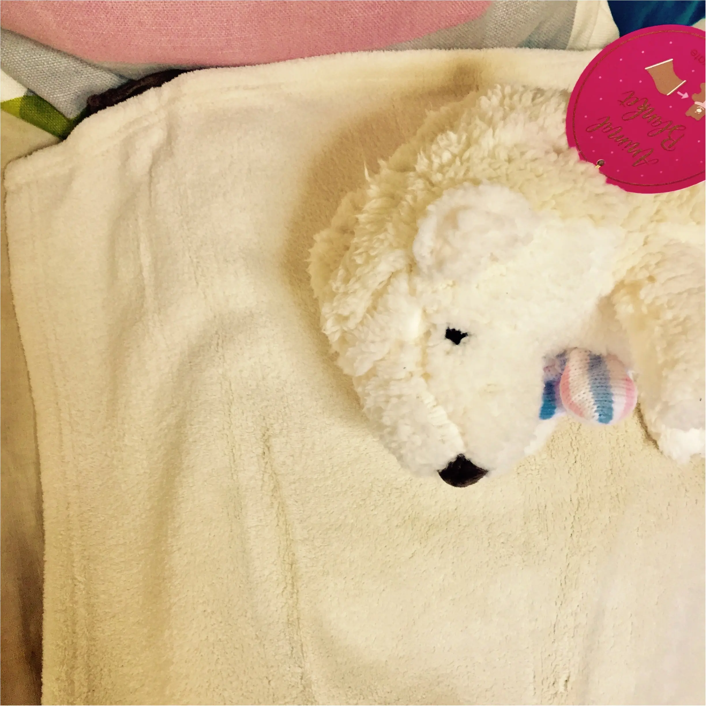 “不眠症”の特効薬は、ライナスの毛布(ハリネズミ)!_2