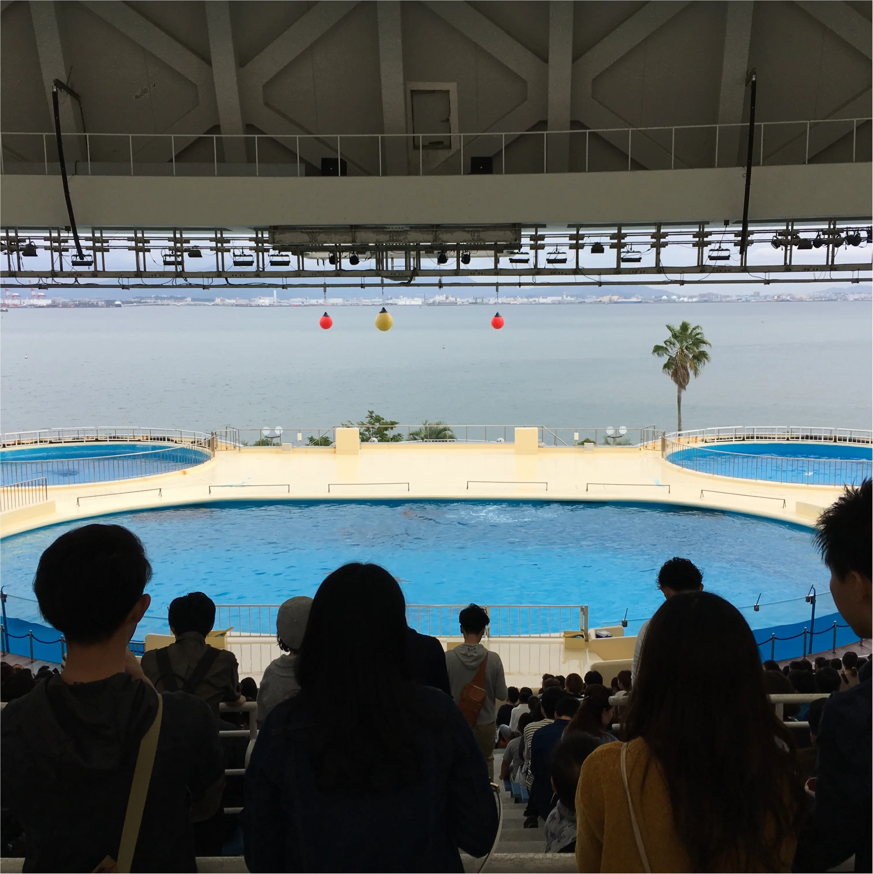 今年リニューアルオープンしたマリンワールドに行ってきました!_2