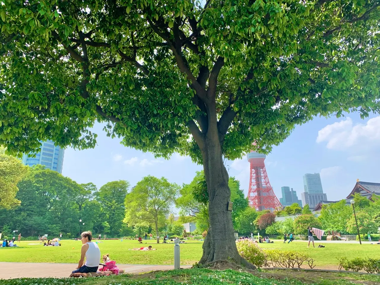♡芝公園 バラ園♡_3