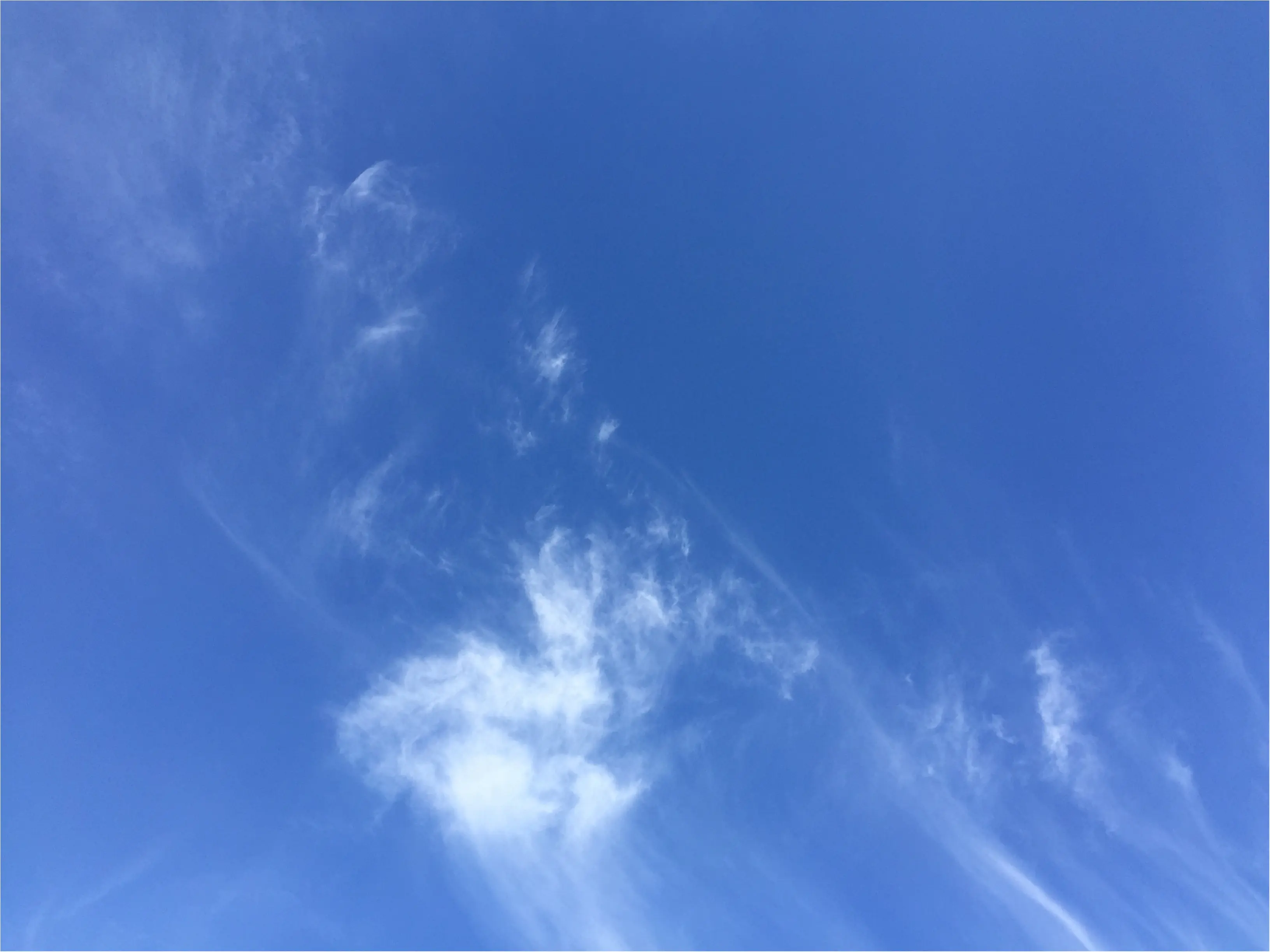 【休日の過ごし方】_1