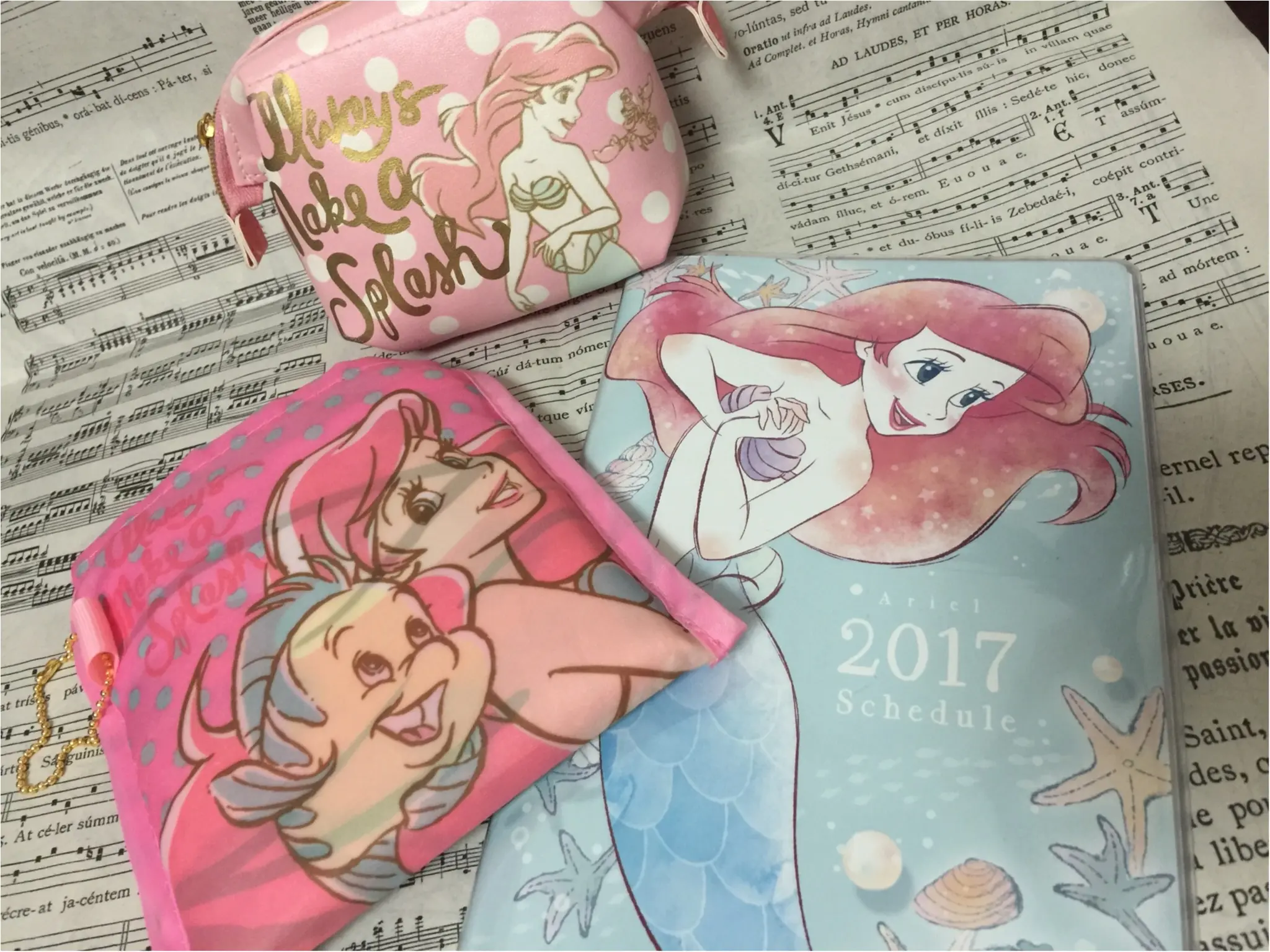 来年のスケジュール帳はあのプリンセス♡hiiko_3