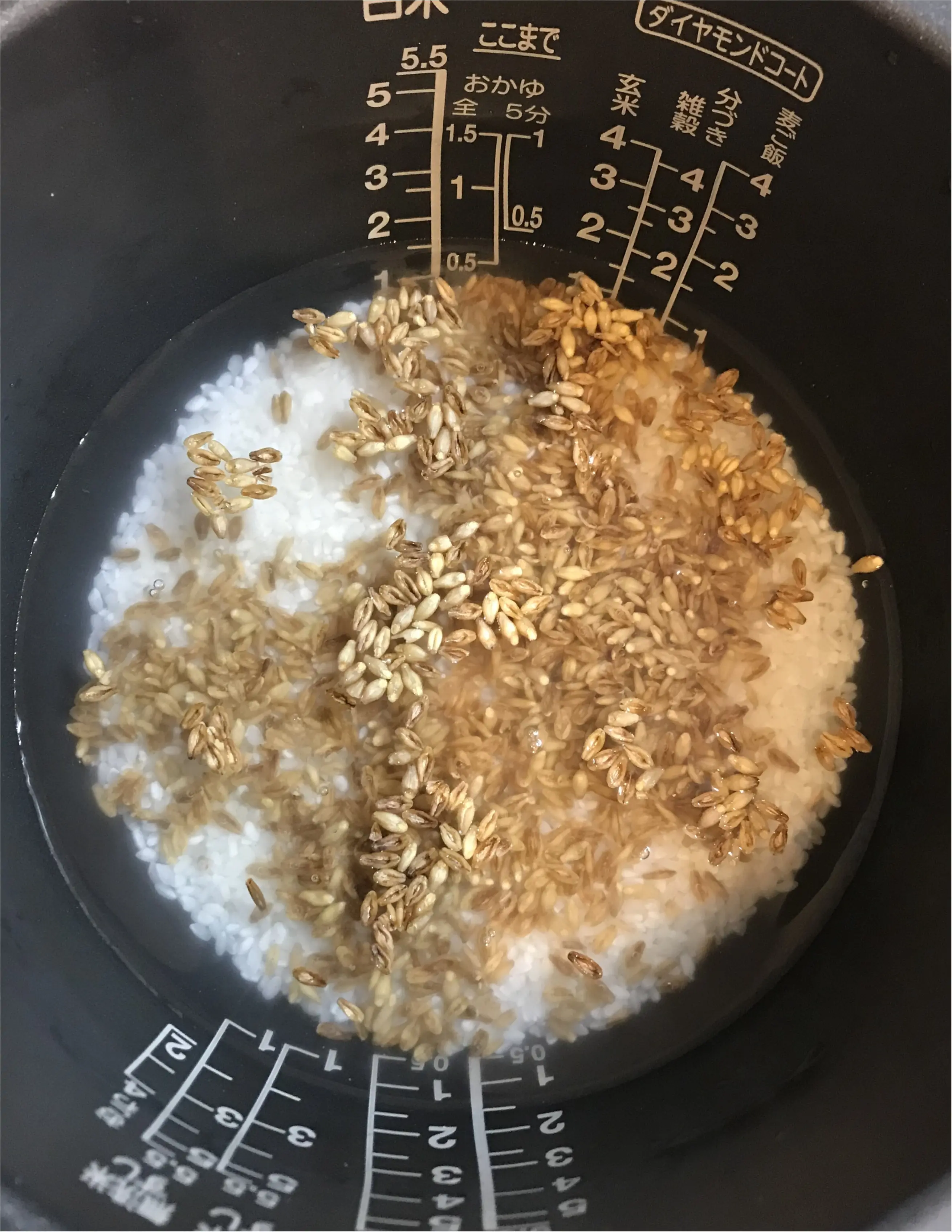 【DIET】スーパーフード:バーリーマックスを食べ続けた結果。どんな効果があったかリアルレポ。_1