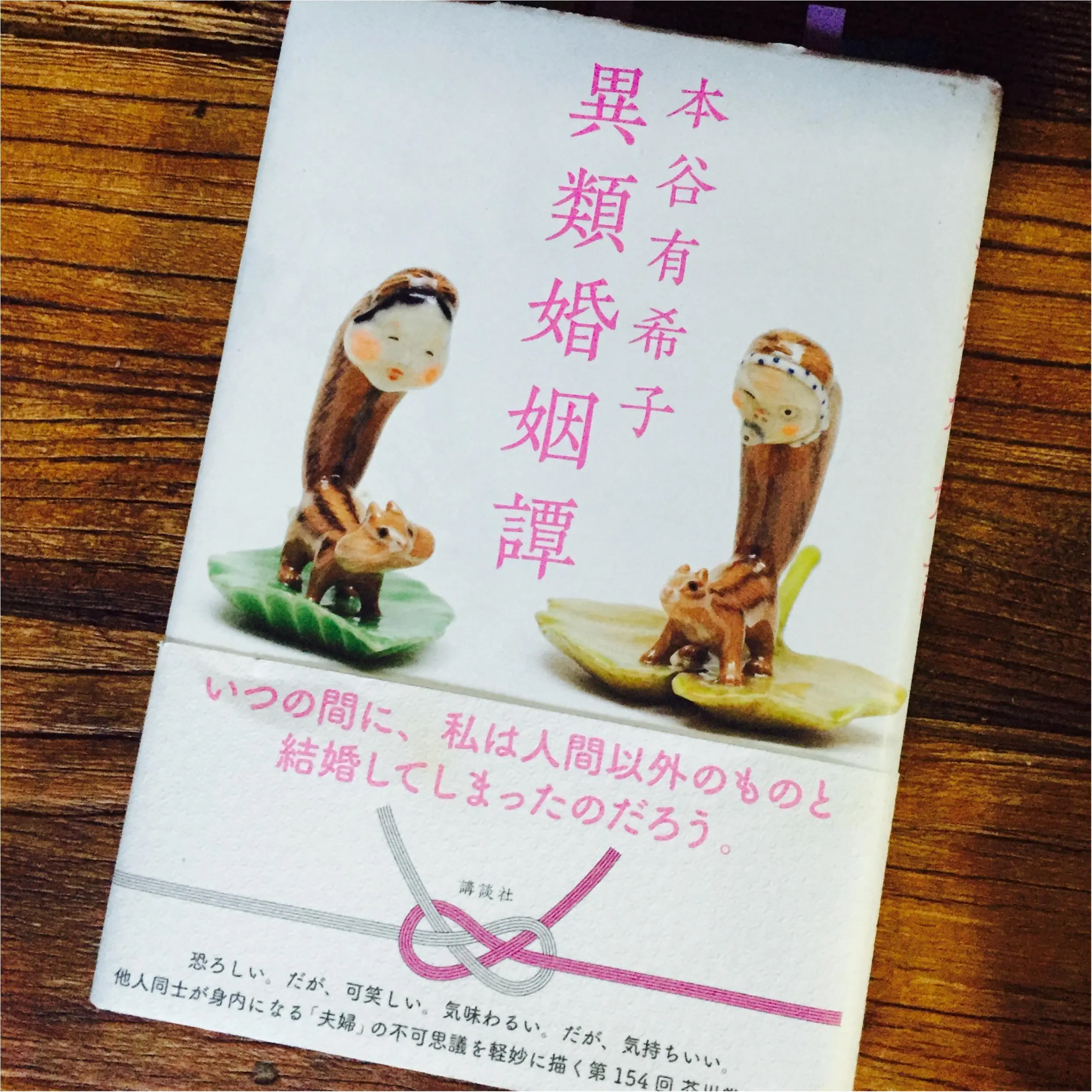 夫婦の顔が似てくる“結婚の魔力と幸せ”。本谷有希子さんの『異類婚姻譚』_1