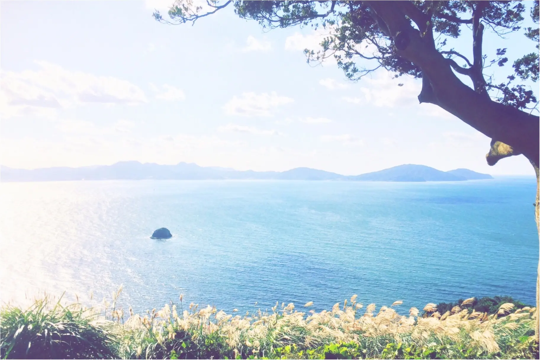 【*日本を知るシリーズ*】〜福岡編〜都心からすぐ!のどかな離島での癒しな旅♪_4