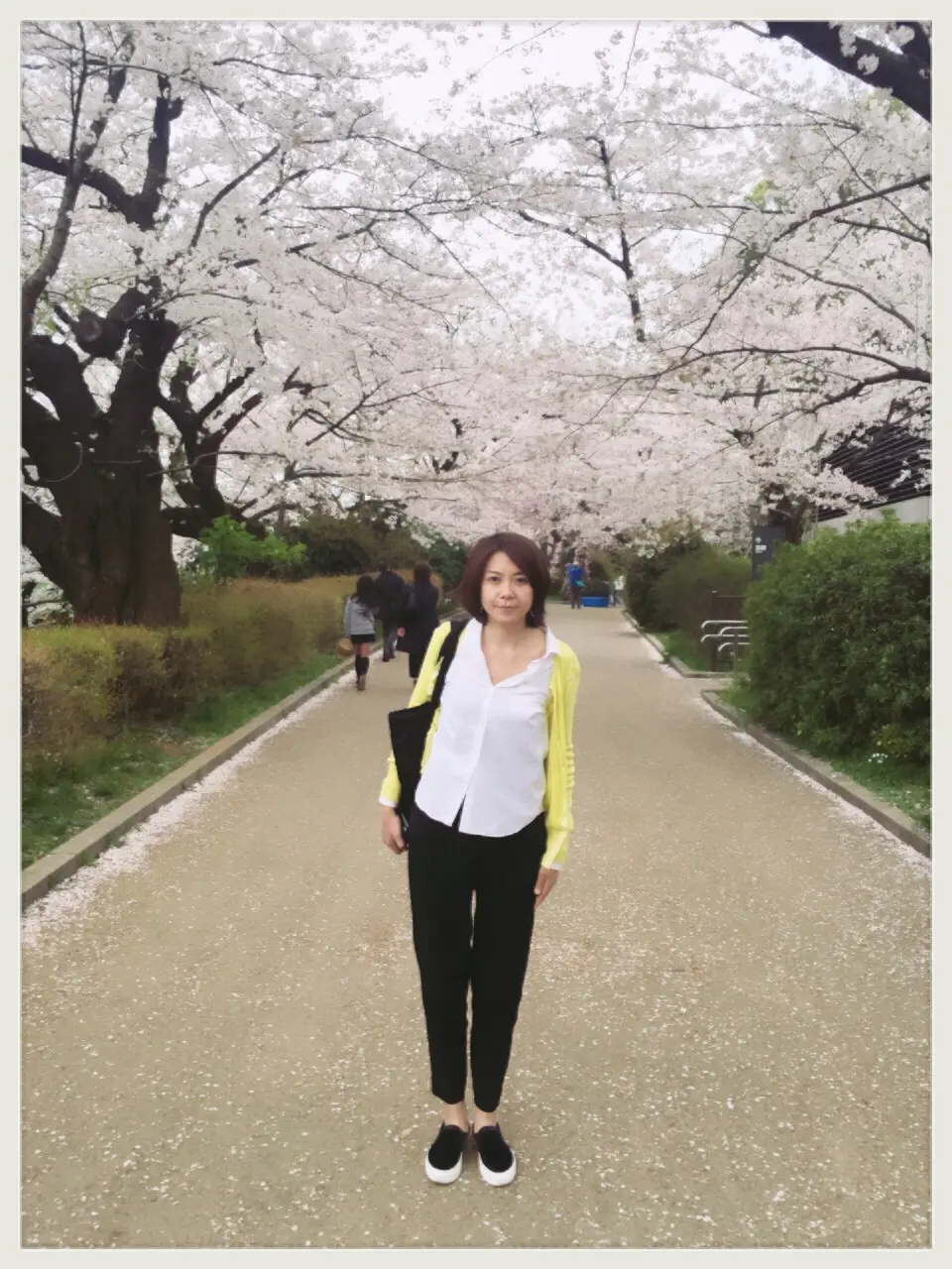 桜の命は短し、恋せよ乙女。_1
