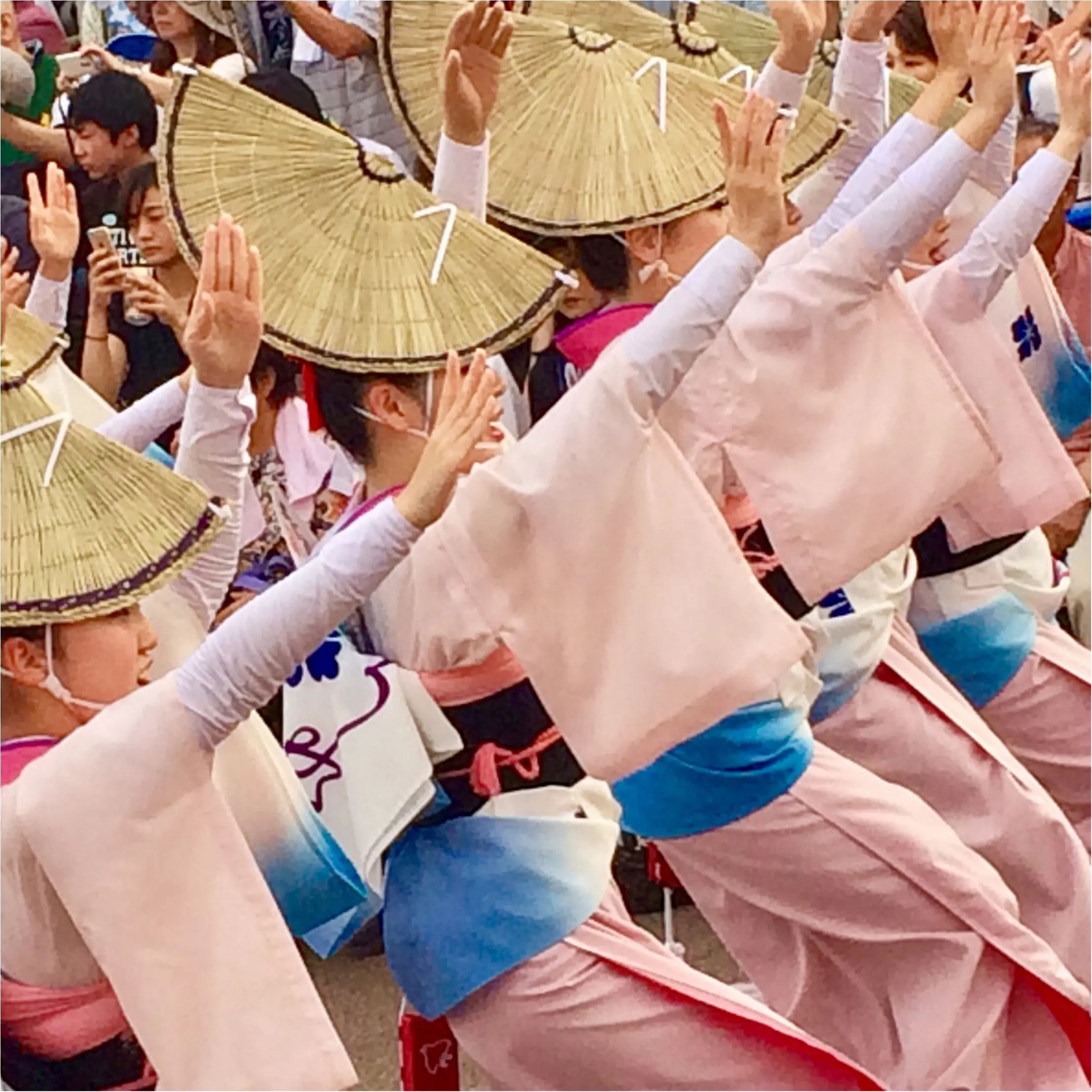徳島のお盆は阿波踊り!_1
