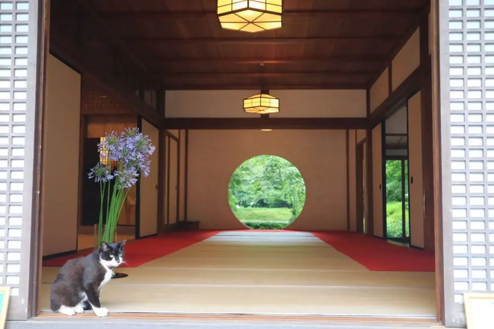 鎌倉の紫陽花名所特集 - 人気のあじさい寺「長谷寺」「名月院」などおすすめスポット_37