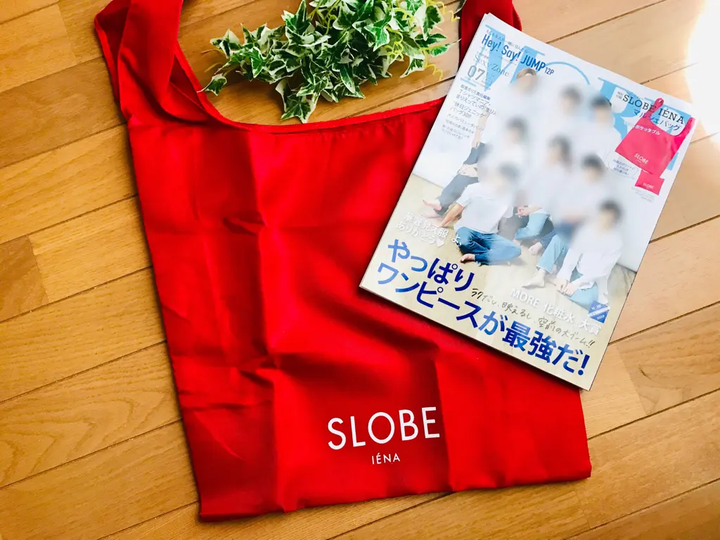 【MORE7月号】今月買うべき神付録!《スローブイエナ》マルシェバッグが超使える♡_1