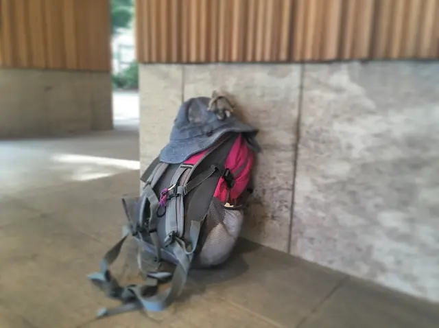 【休日の過ごし方】Go to 高尾山〜小学生ぶりに山登りしてみました〜_10