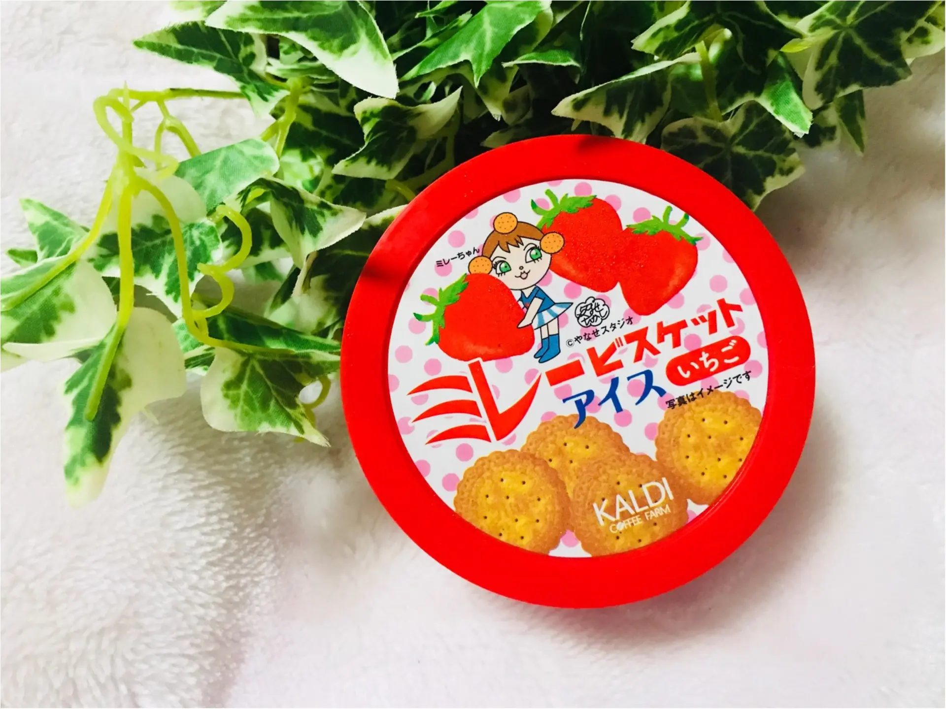【KALDI】あのご当地菓子《ミレービスケット》がアイスになっちゃった!カルディ限定で“いちご味”が新登場❤︎パッケージがレトロ可愛い♡♡_1