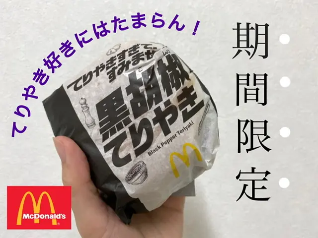 【マクドナルド】新メニューのてりやきバーガー2種類徹底解説!_1