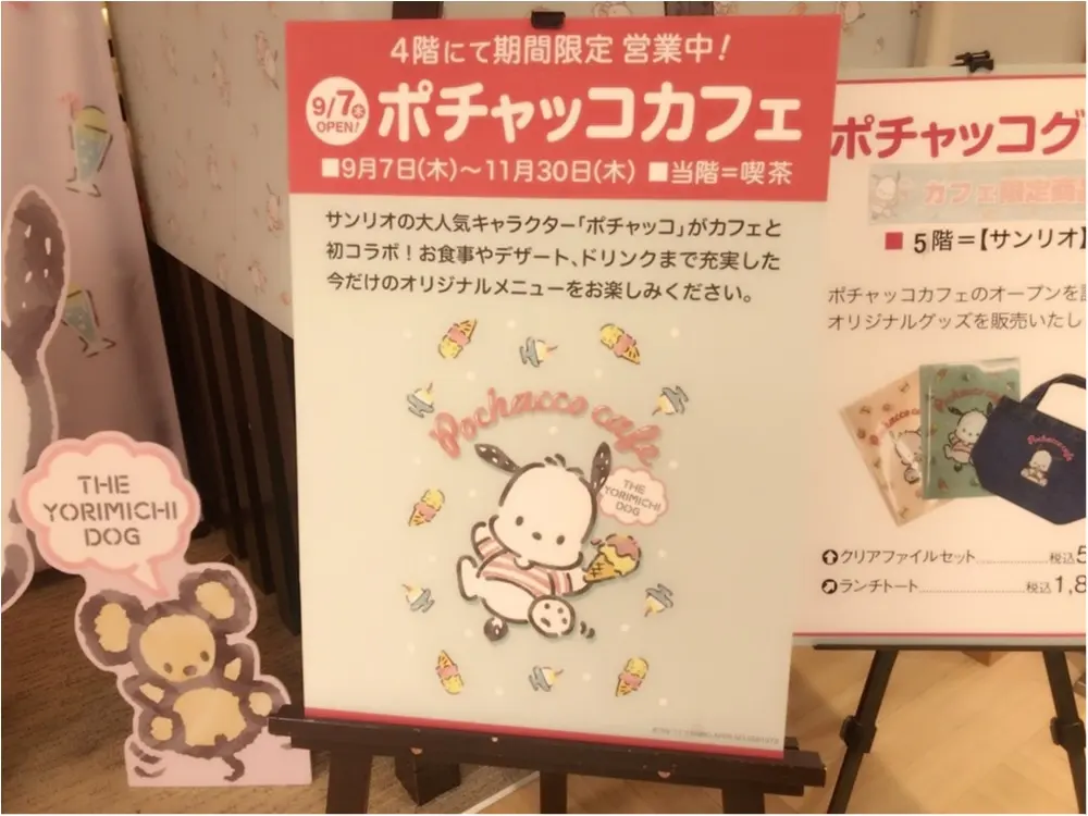 【サンリオ期間限定カフェ】ポチャッコ好き大集合!横浜に集まれ!○○が激ウマ&SNS映え!_1