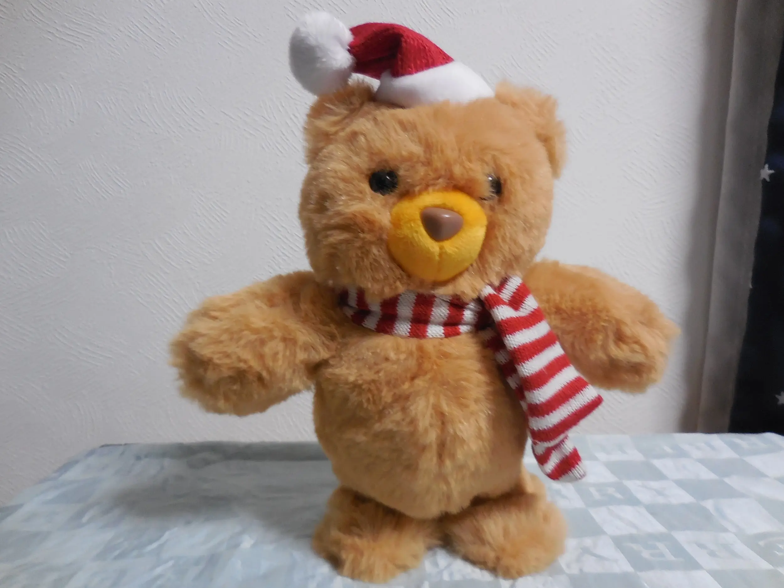 【カルディ】史上最強にかわいいクリスマストコトコベア_2