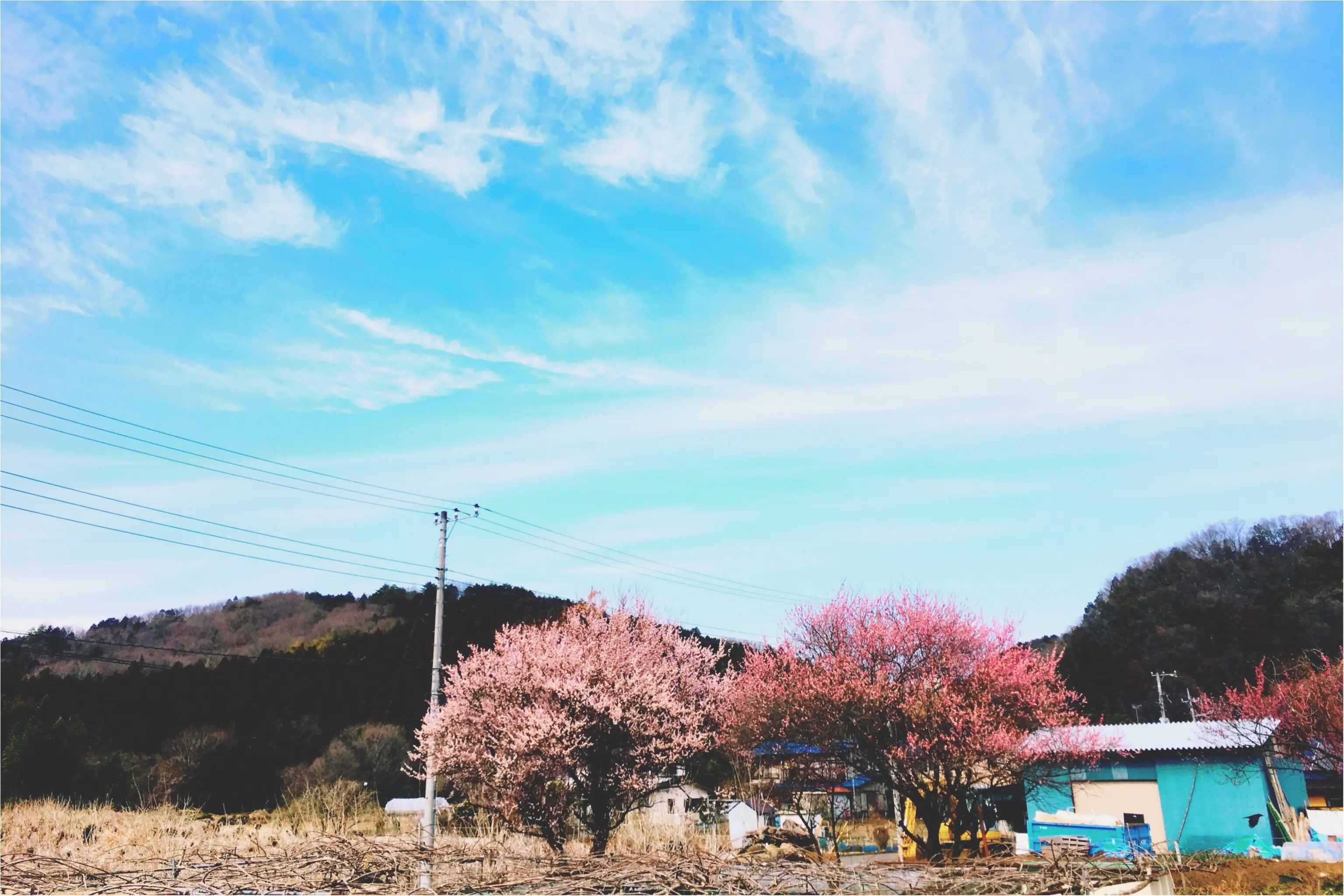 春の週末旅*飯能にて農ある暮らしを見つめる旅【古民家編】♡_1