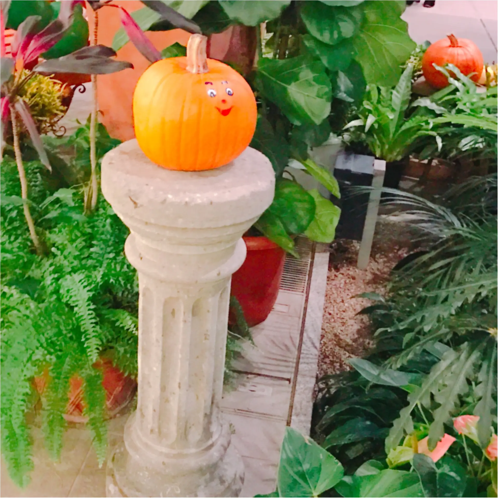 ★明日が最終!オシャレなハロウィンパーティ、名古屋でオススメな場所はココ★_2